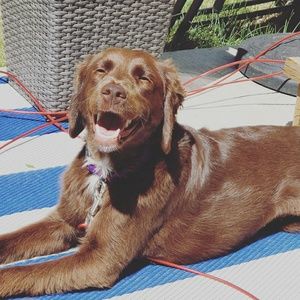 Meet your Posher, Laura